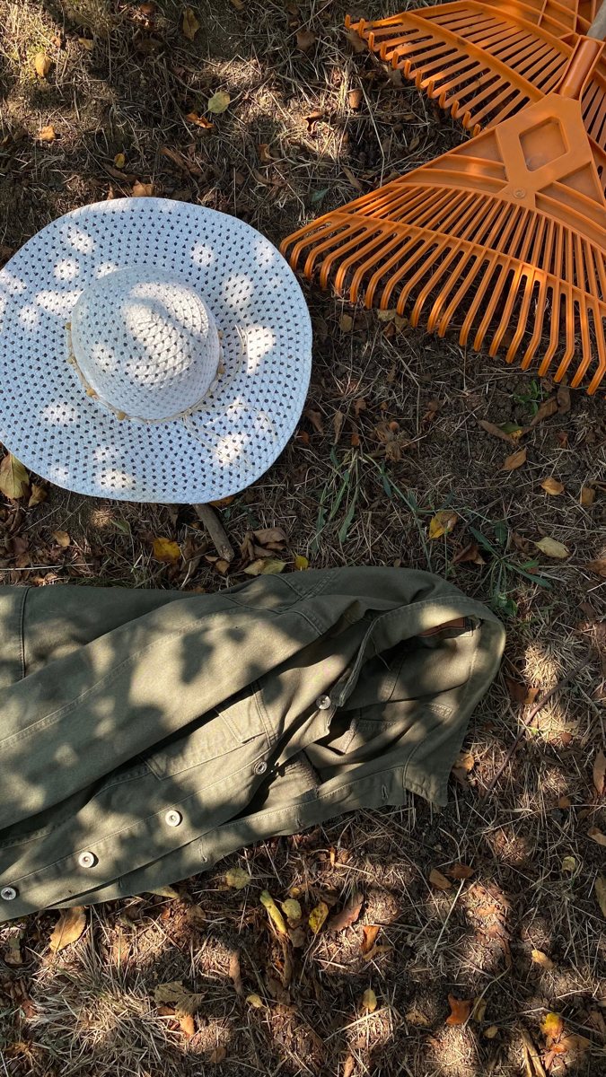 Yard cleanup tools and fallen leaves