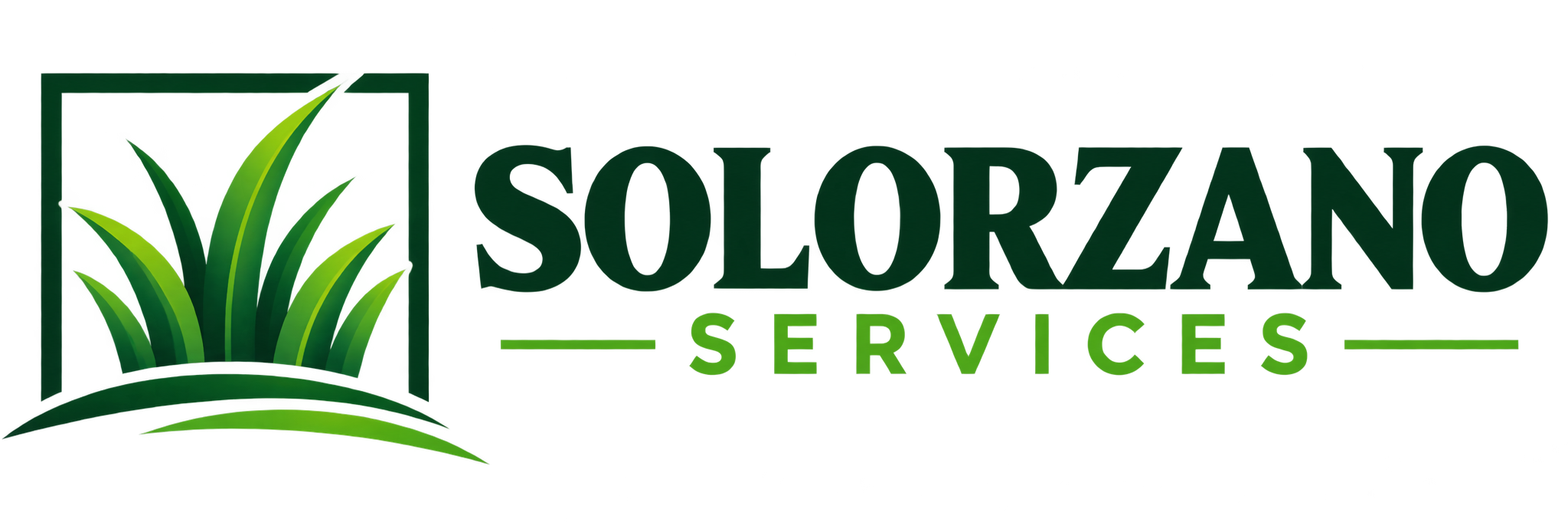 Solorzano Services