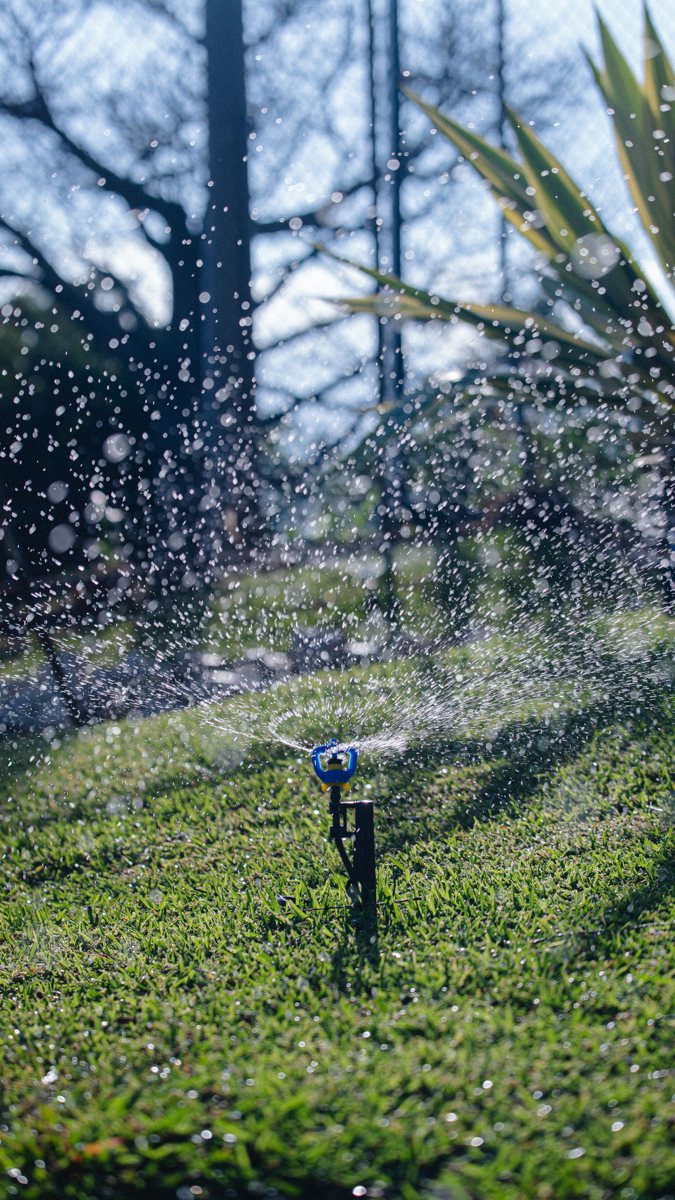 Sprinkler watering a green lawn